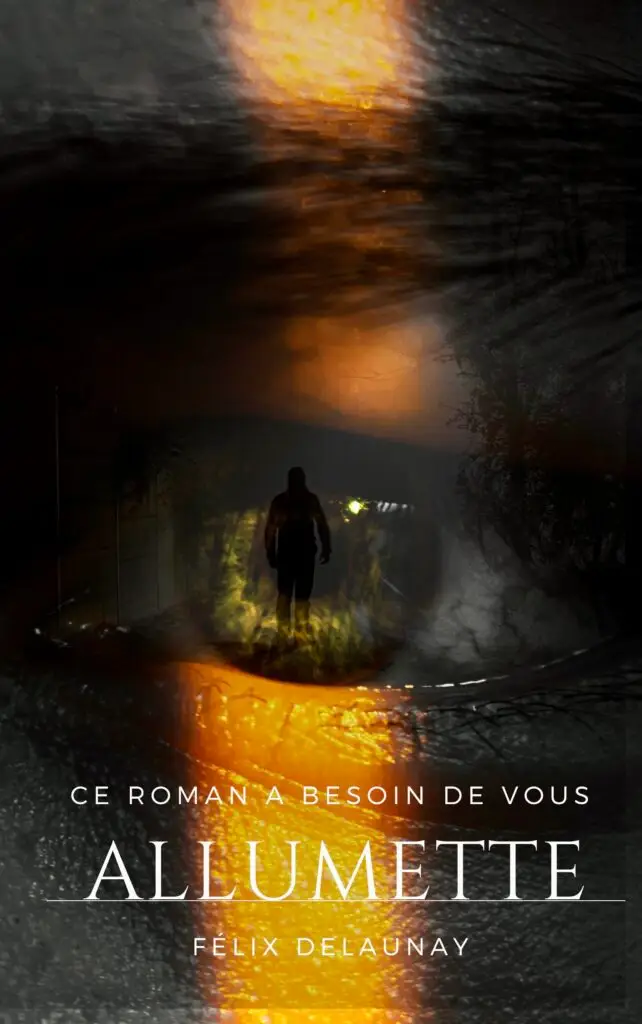 Thriller, Mystère 1 Dark Mysterious Book Cover