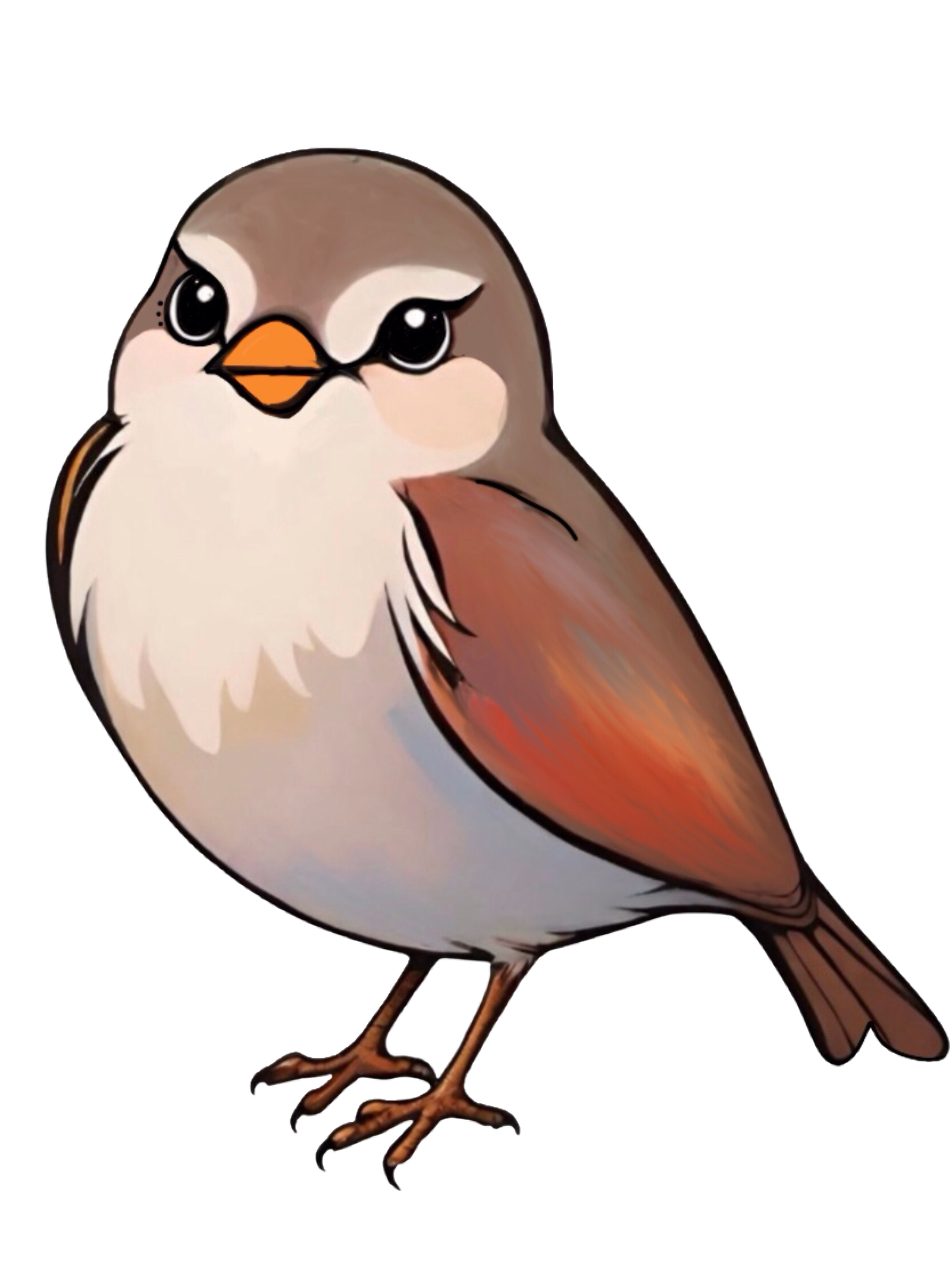 PlumeBook lecture gratuite