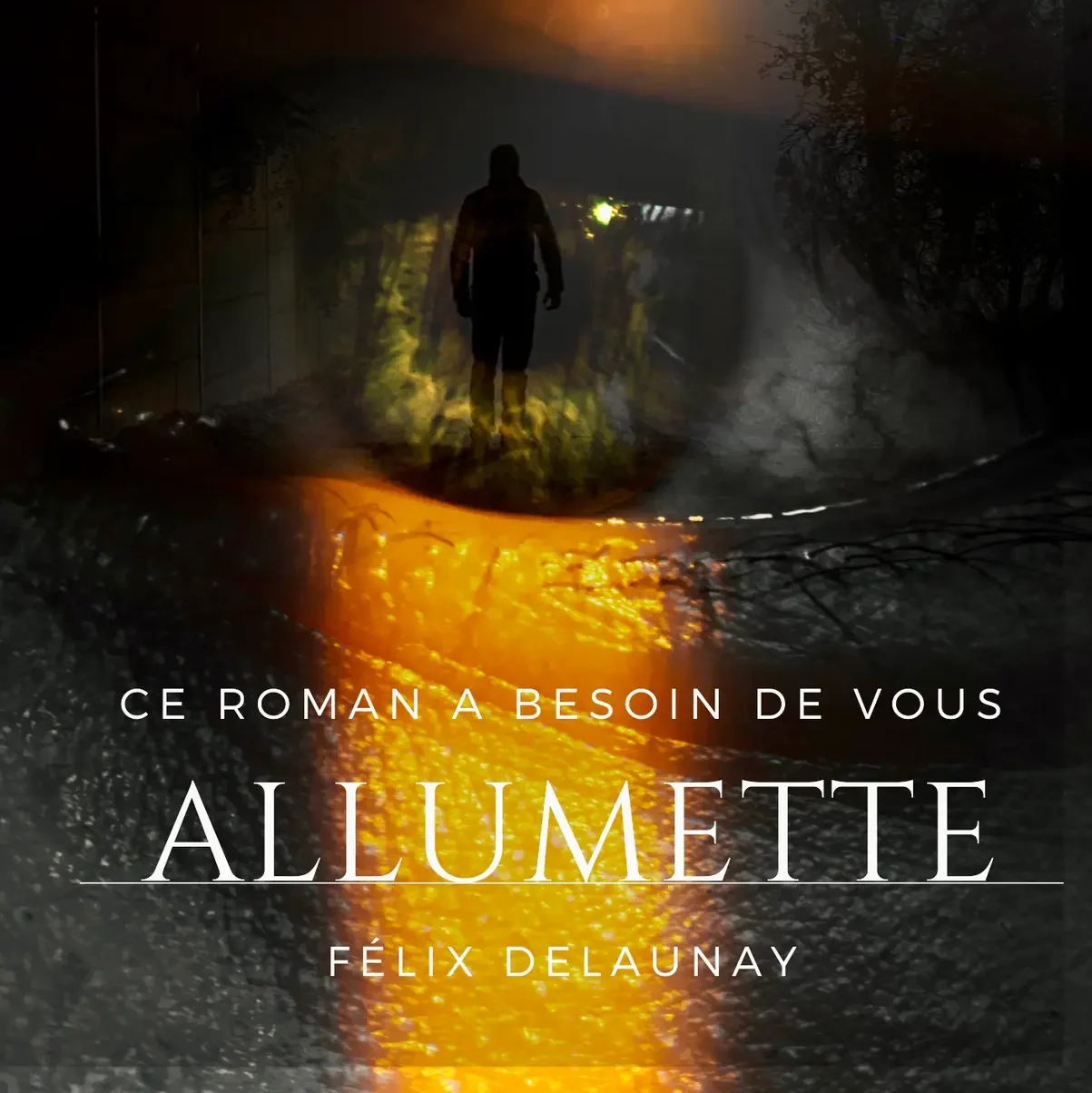 Dark Mysterious Book Cover edited